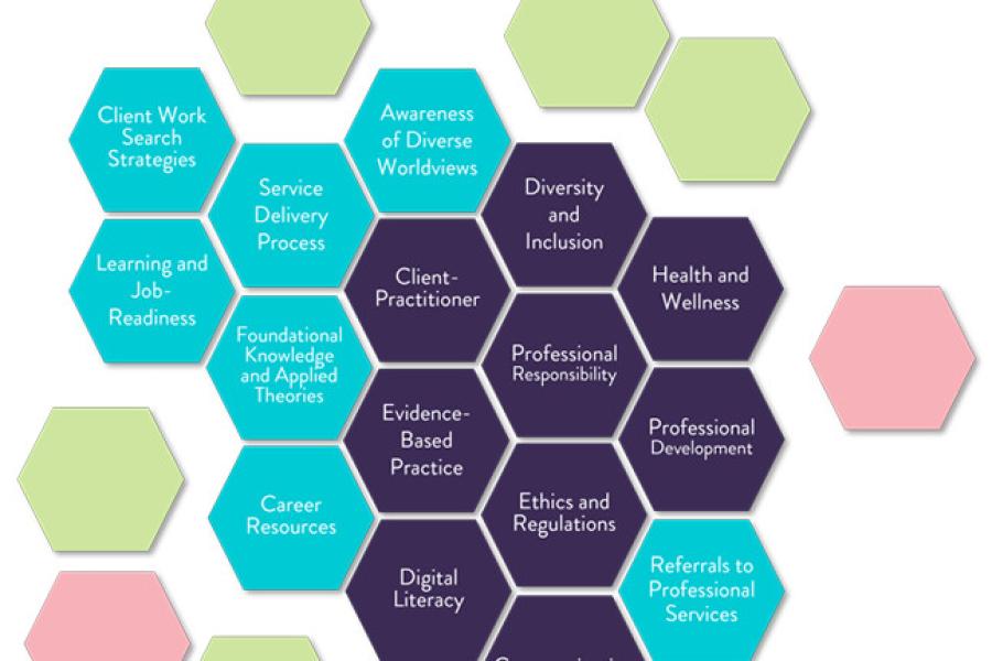 Graphic depiction of the competency grid