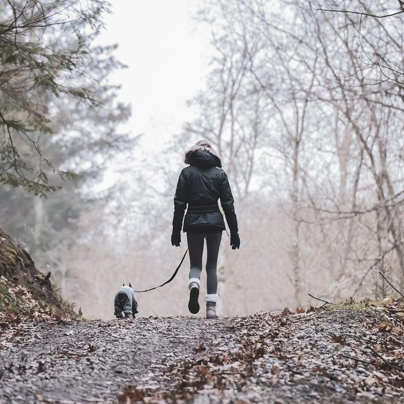 Individual walking a dog along a path with trees